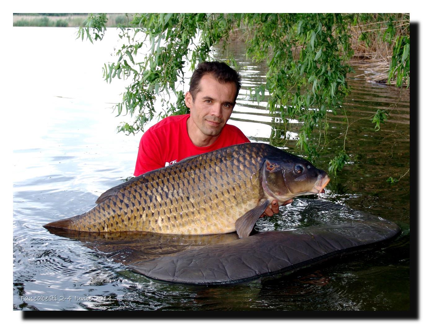 1-4 iunie tancabesti - dsc00167.jpg